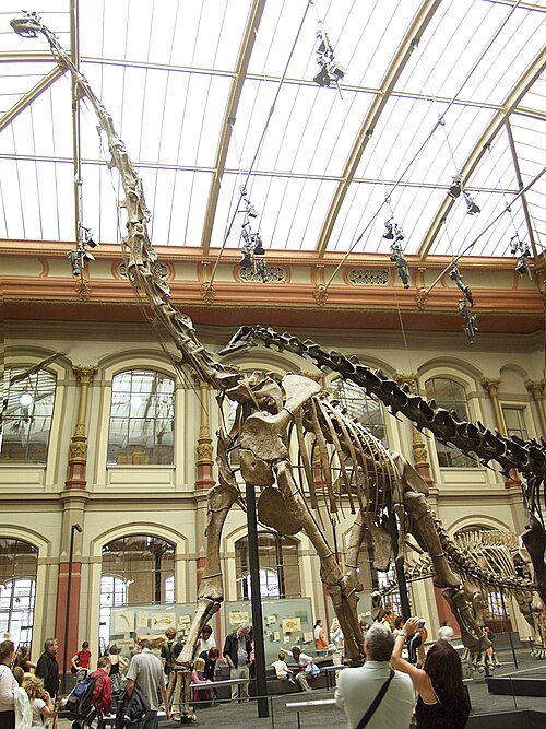 Top 10 Museen für Kinder in Berlin